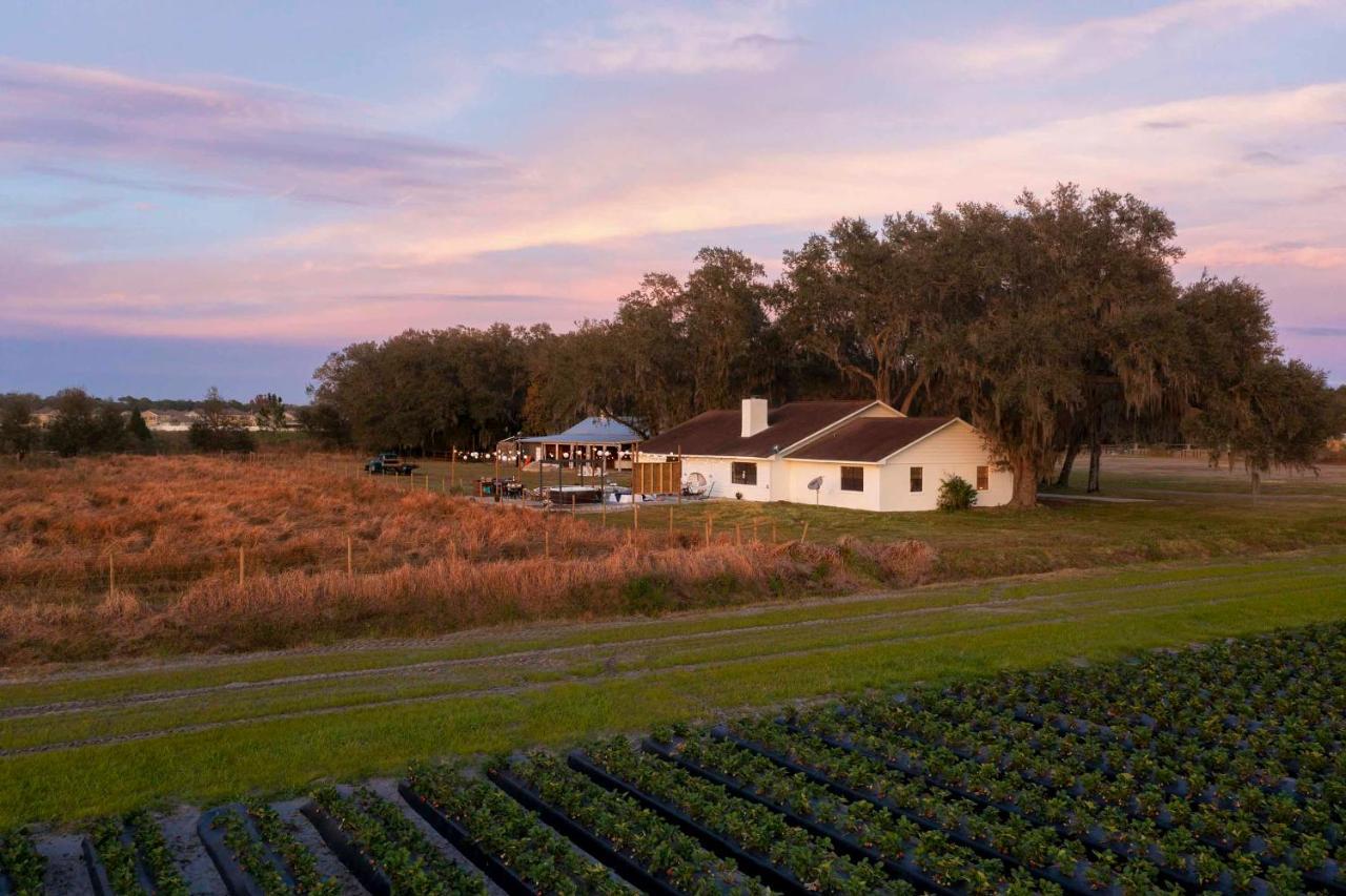 Plant City Home With Outdoor Pool! Exterior photo